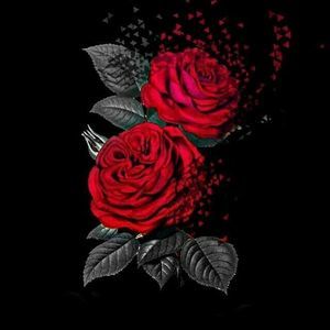 Meet your Posher, Luis